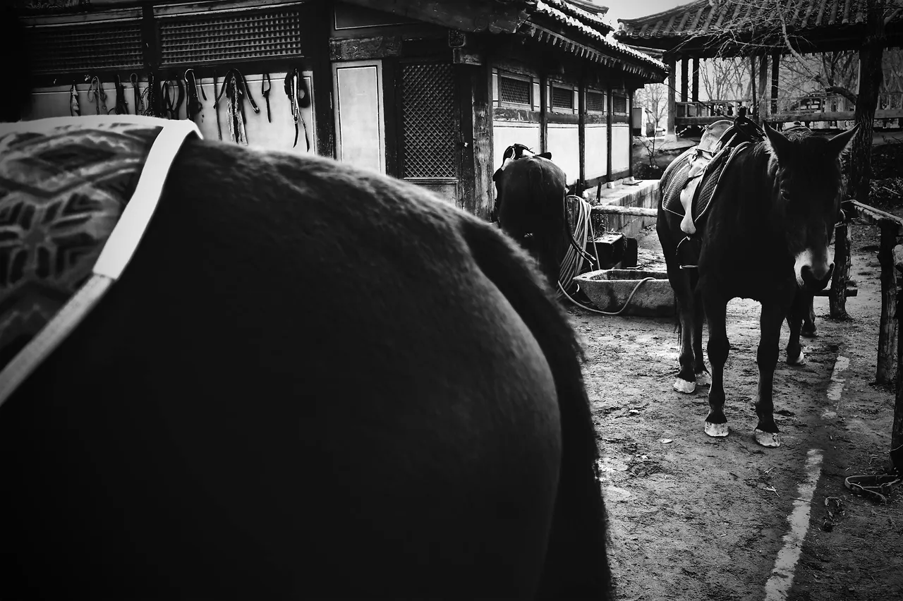 민속촌 미리보기 6
